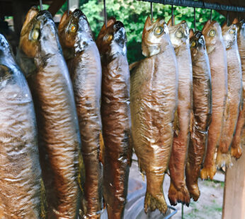 Maquereau fumé artisanal – 16 pièces